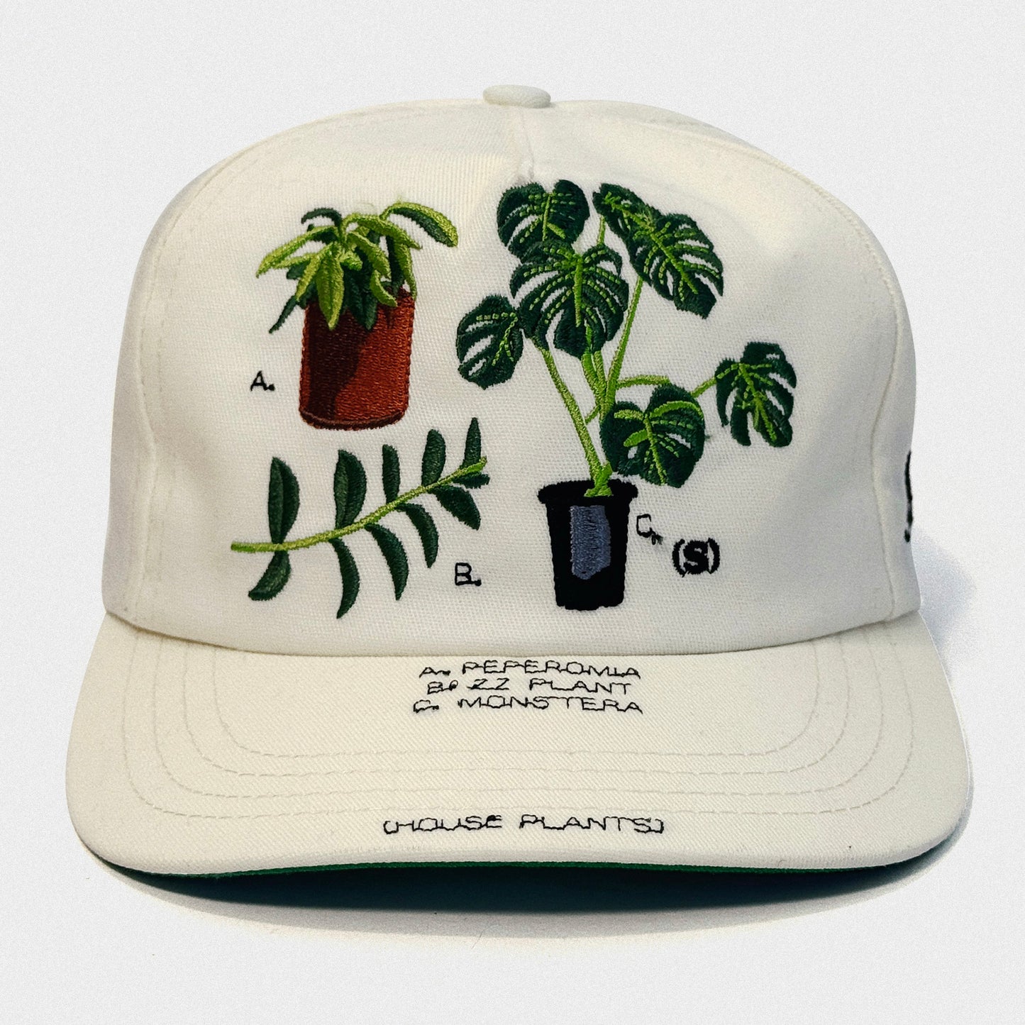 (House Plants) Snapback Hat